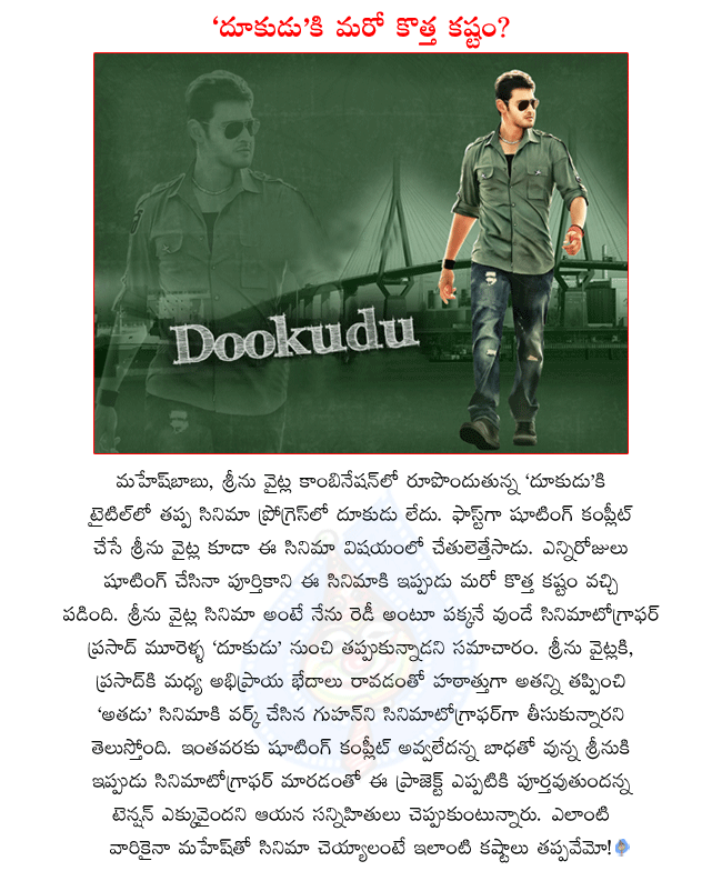 mahesh babu latest movie dookudu,srinu vytla latest movie dookudu,mahesh babu in dookudu shooting,cinematographer out of dookudu project,guhan is the new cinematographer to dookudu,dookudu release date,dookudu will release in september  mahesh babu latest movie dookudu, srinu vytla latest movie dookudu, mahesh babu in dookudu shooting, cinematographer out of dookudu project, guhan is the new cinematographer to dookudu, dookudu release date, dookudu will release in september